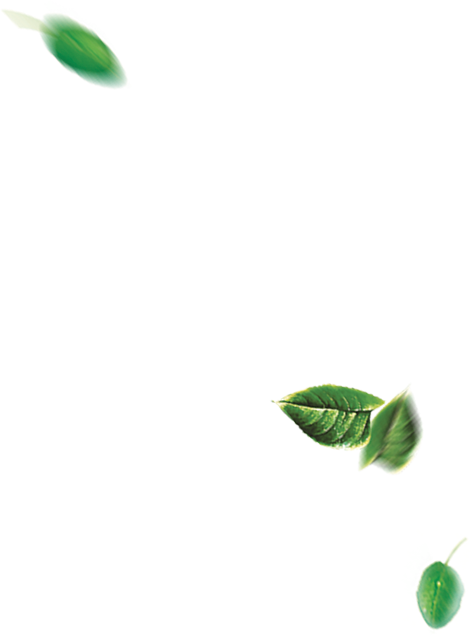 story_leaves