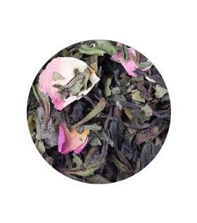 GEISHA BLOSSOM TEA